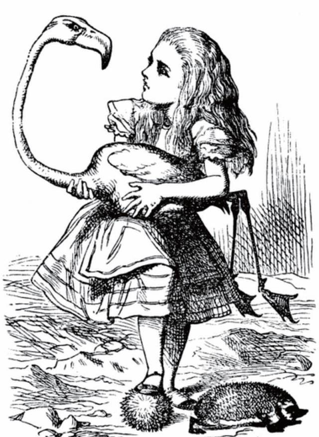 爱丽丝创始人,爱丽丝的笔者是数学家