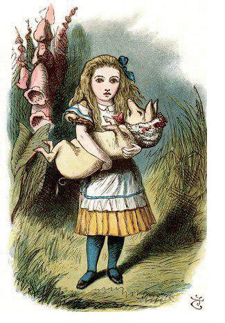 爱丽丝创始人,爱丽丝的笔者是数学家