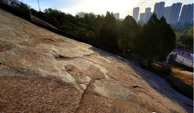 不能更赞：没想到你是这样的邹城