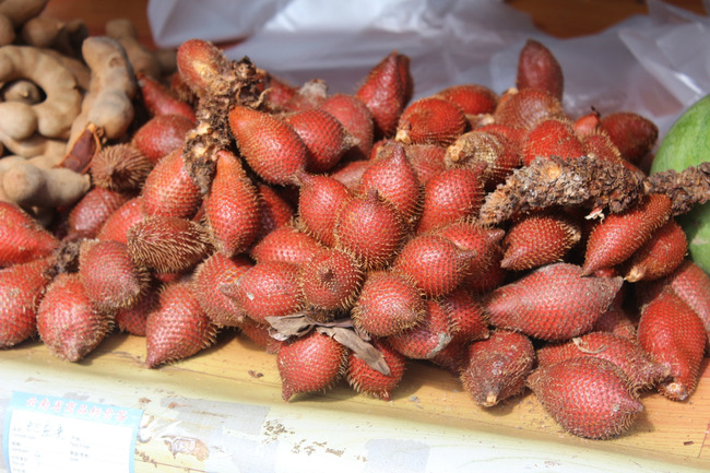 暑假云南旅游攻略8天,海南暑期云南旅游费用