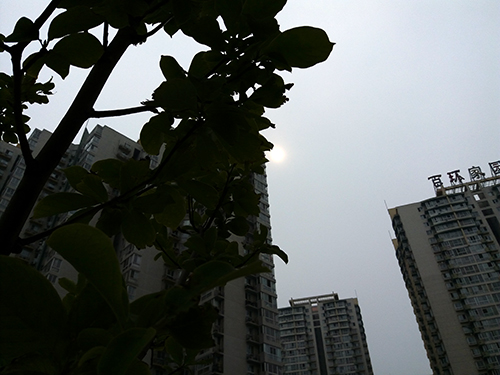 2千块买华为还是买三星,2千多买个二手手机值得吗