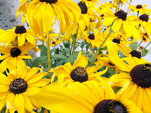 2千块买华为还是买三星,2千多买个二手手机值得吗