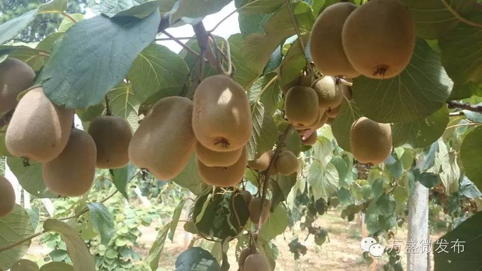 相信我，万盛还有你不知道的一面！