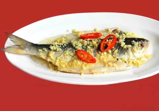 西江明珠石板沙生态岛,江门新会石板沙湿地公园