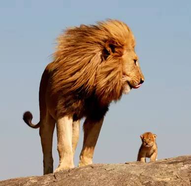 孩子给爸爸买的父亲节礼物,给爸爸买的父亲节礼物