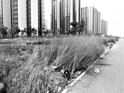 回龙观人民盼了近10年的林萃路，现在怎么样了？