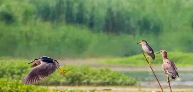 不能更赞：没想到你是这样的邹城