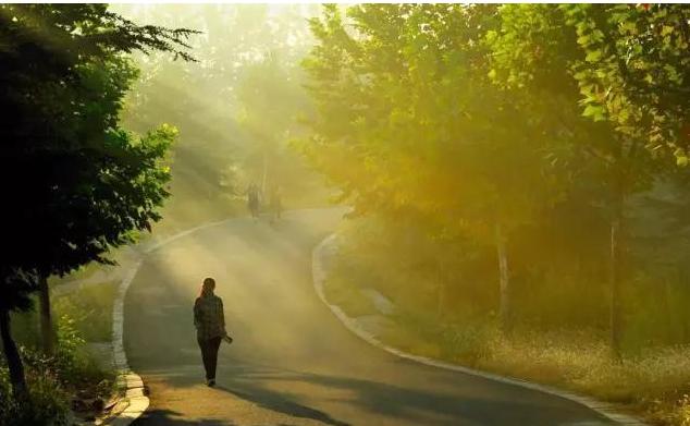 不能更赞：没想到你是这样的邹城