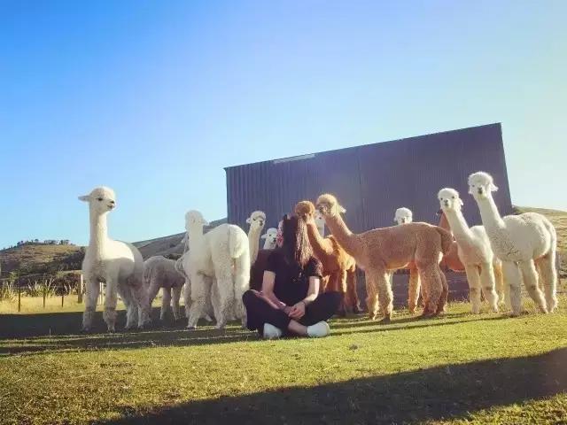 没钱也能去的旅行,没钱也能去留学