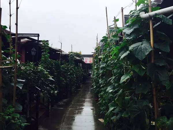 巴南美食打卡地推荐附近,资深吃货才能找到的地方