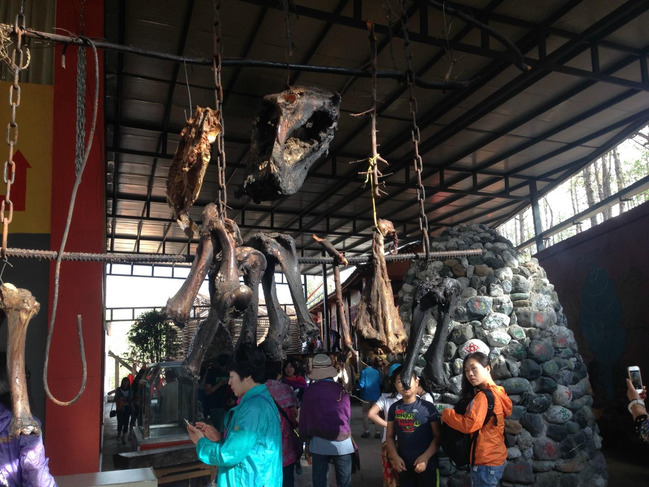 暑假云南旅游攻略8天,海南暑期云南旅游费用