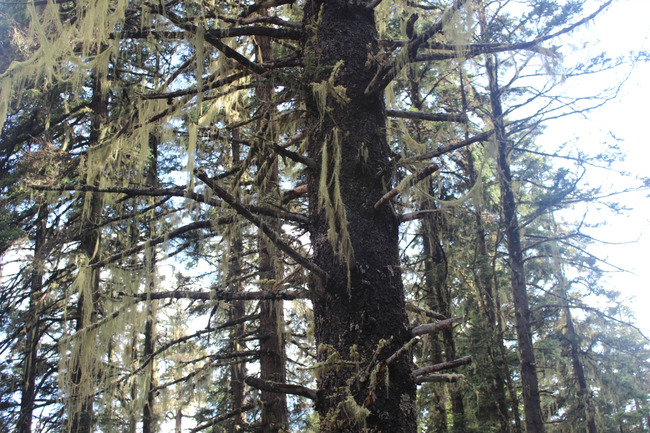 暑假云南旅游攻略8天,海南暑期云南旅游费用