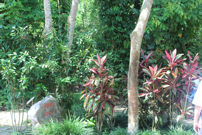 暑假云南旅游攻略8天,海南暑期云南旅游费用