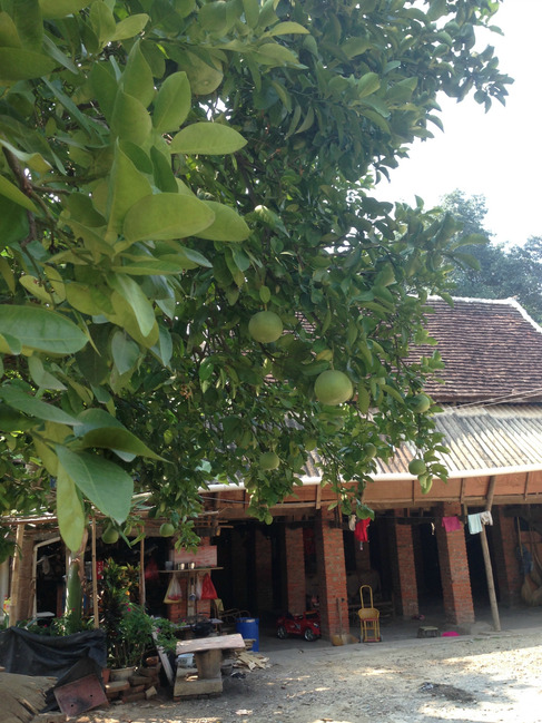 暑假云南旅游攻略8天,海南暑期云南旅游费用