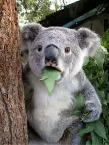 别人眼中的自己国外实验,别人眼中我的生活vs真实我的生活