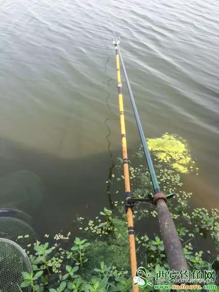 野钓民间故事,野钓奇葩故事视频