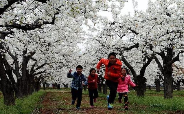 不能更赞：没想到你是这样的邹城