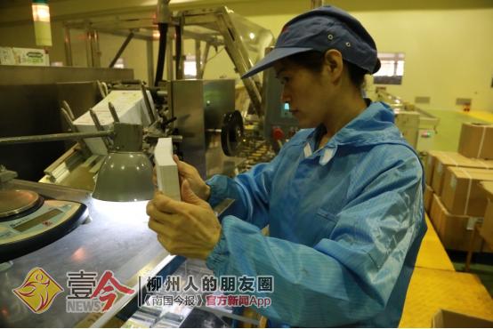 探秘地下核工厂,两面针生产线