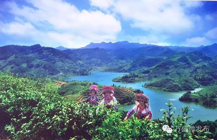 相信我，万盛还有你不知道的一面！