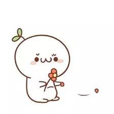 诺一爸,诺一爸最新视频