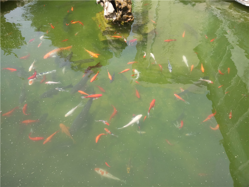 乐视乐2手机质量怎么样,乐视乐2骁龙版游戏性能测试