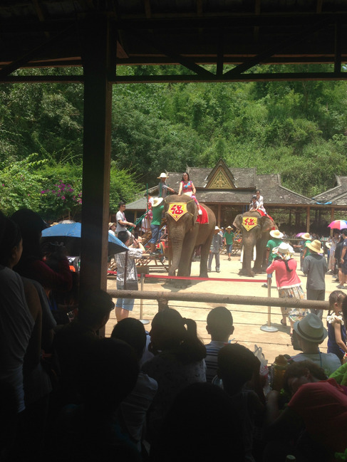 暑假云南旅游攻略8天,海南暑期云南旅游费用