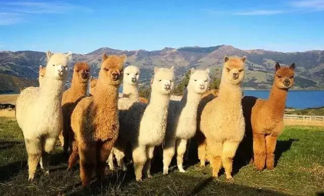 没钱也能去的旅行,没钱也能去留学