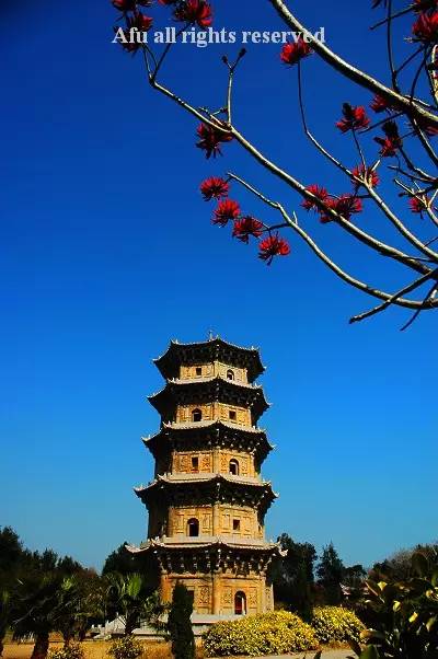 泉州吃海鲜哪里比较鲜又比较便宜,泉州海鲜特色