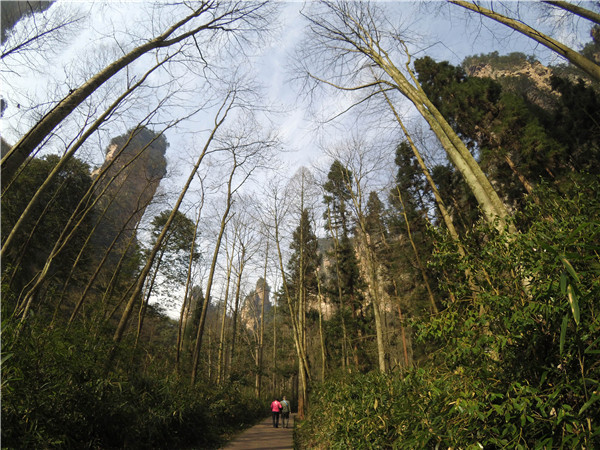 小蚁1代运动相机使用手册,小蚁运动相机实测