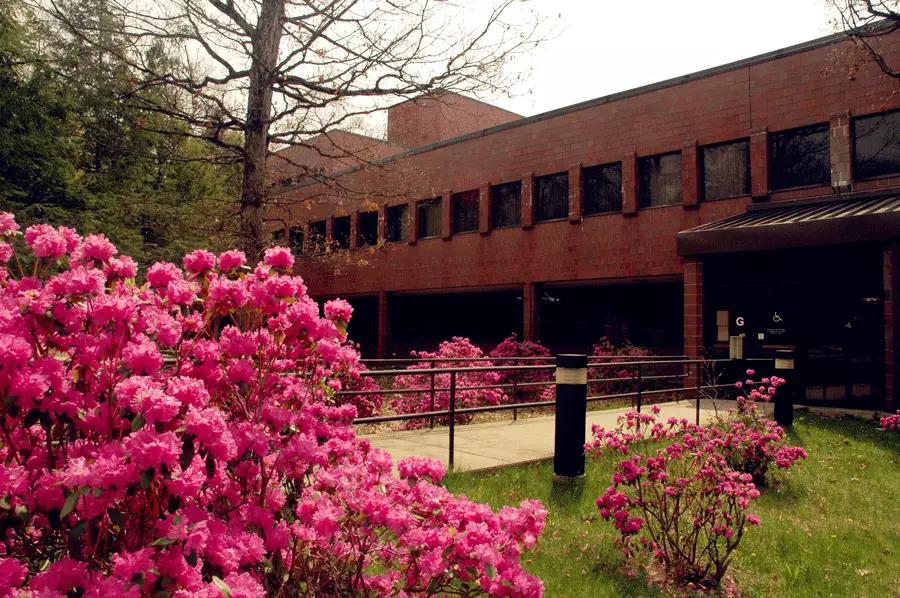 一个月从0过雅思4.5,一个月从100分考到250分