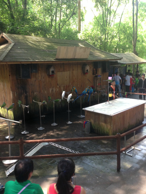 暑假云南旅游攻略8天,海南暑期云南旅游费用