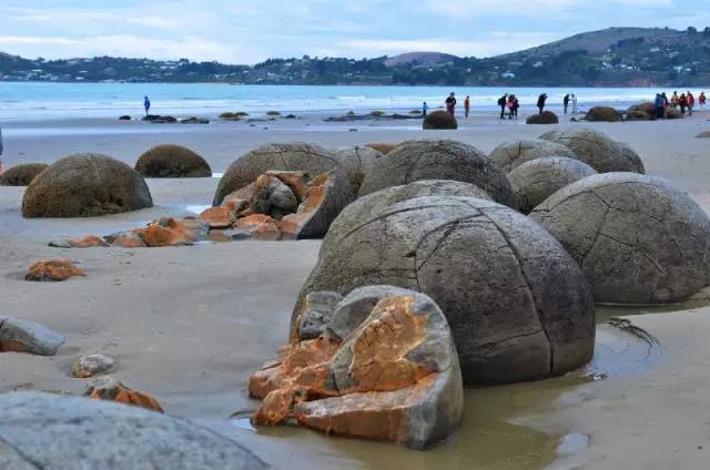 新西兰摩拉基大圆石的形成原因,新西兰圆石图片