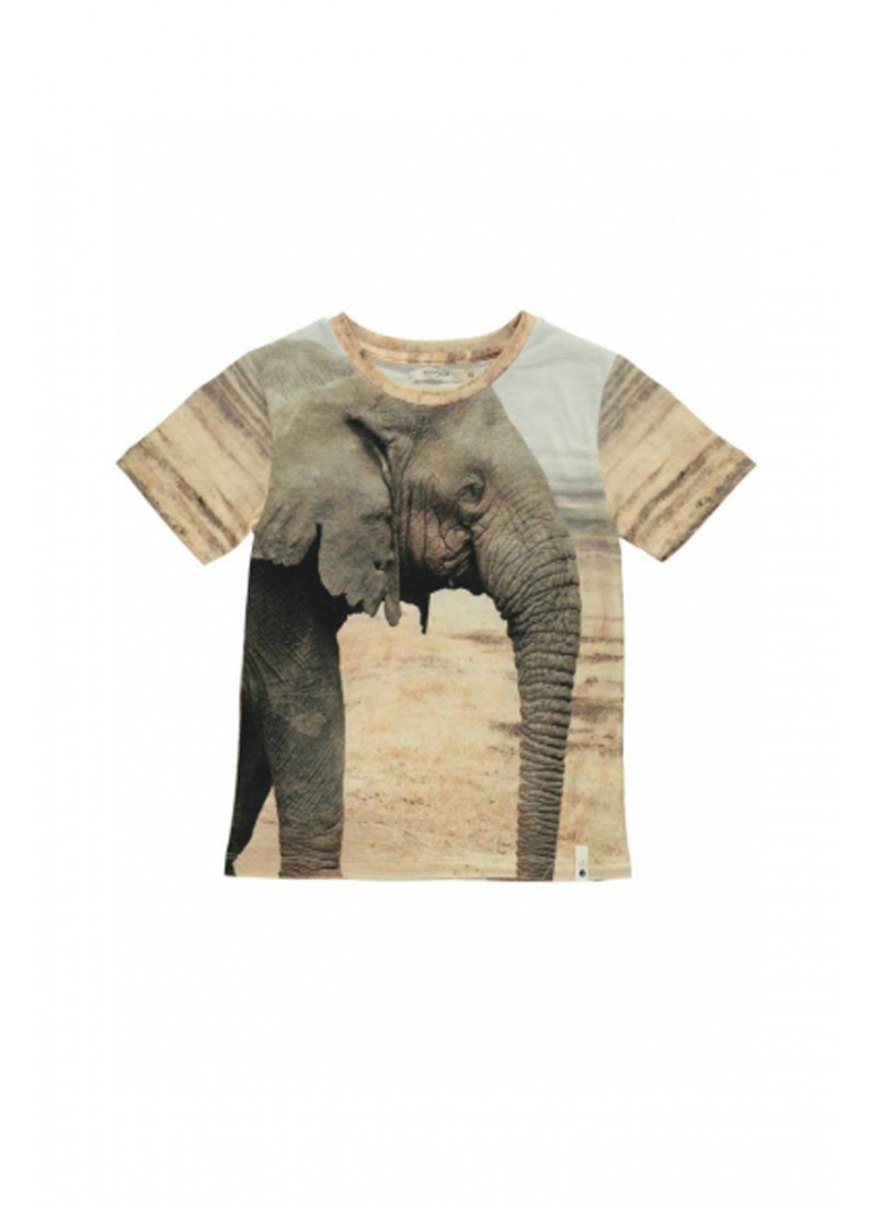 妈妈我要穿狮子和老虎！喜欢这个纽约童装品牌吗？