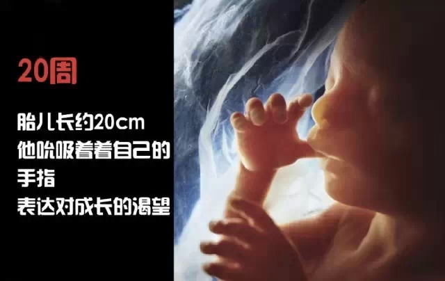 造人计划之前必须要做的几件事,造人是个很辛苦的事情