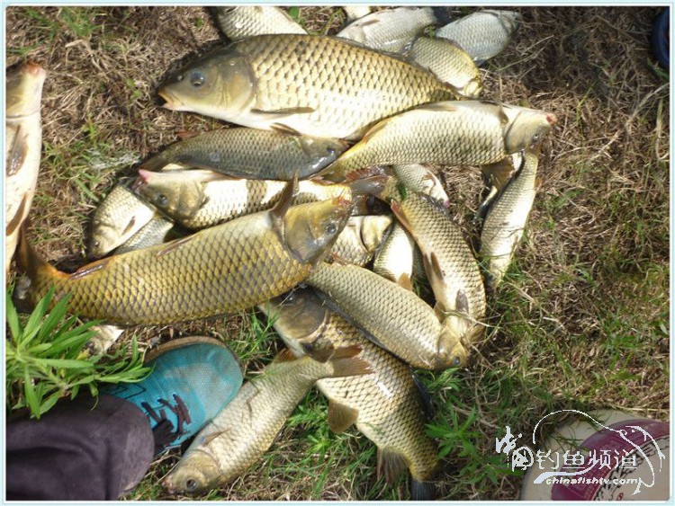 游钓中国丹江口市之行,游钓丹江300天