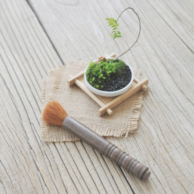 高考结束带你揭秘茶学专业那些事,高考志愿理学专业解读