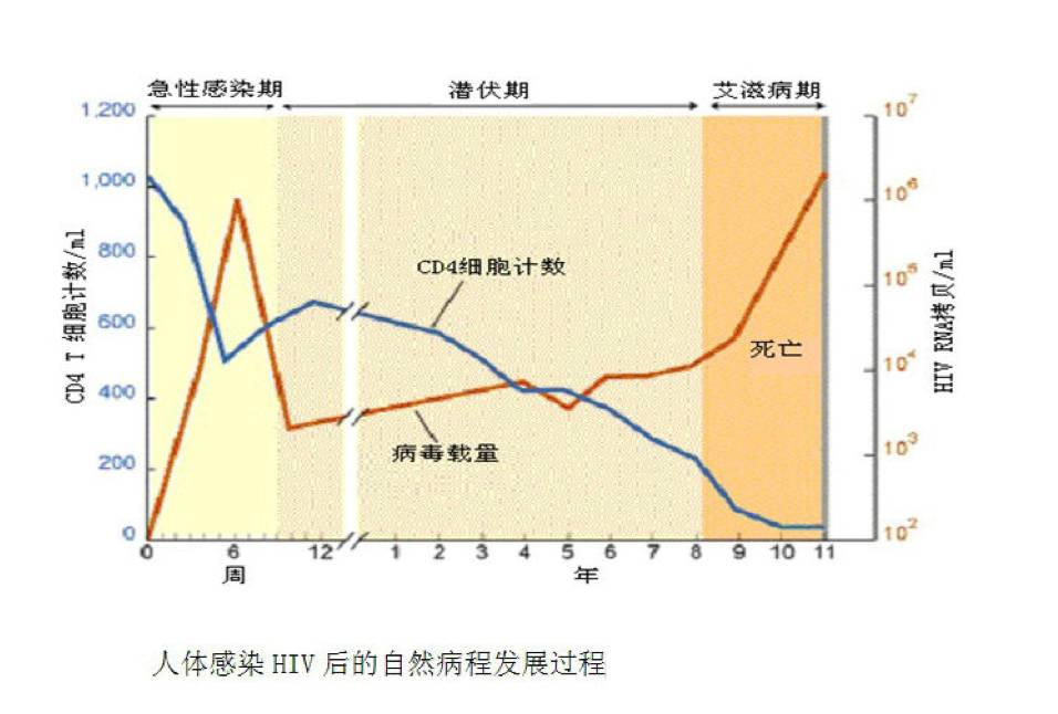 世界艾滋病日的真实由来,艾滋病早期症状红色斑疹什么样