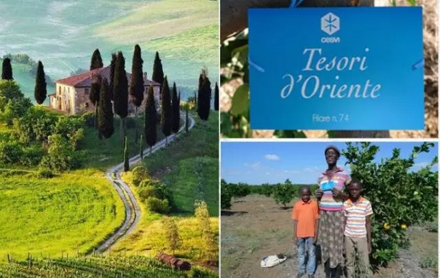 意大利进口东方宝石埃及艳后,源自意大利的东方宝石