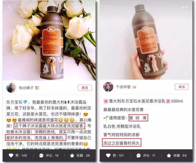 意大利进口东方宝石埃及艳后,源自意大利的东方宝石