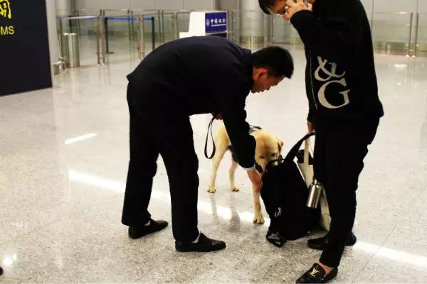 粽子邮寄需要冰冻吗,粽子邮寄怎么保持新鲜