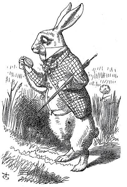 爱丽丝创始人,爱丽丝的笔者是数学家