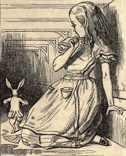 爱丽丝创始人,爱丽丝的笔者是数学家