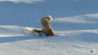 未来三个月没有假期，如何在青田抖high起来~~~（最时髦新玩法）
