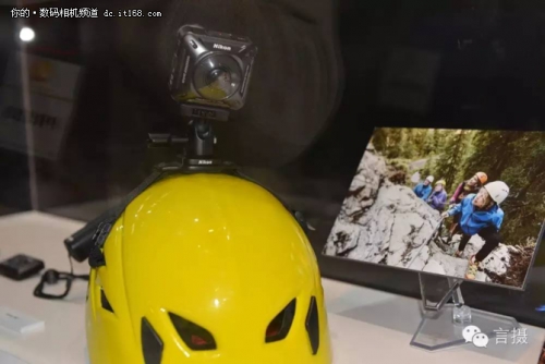 拍鸟尼康d5还是d500 (尼康d5与d500对焦系统的区别)