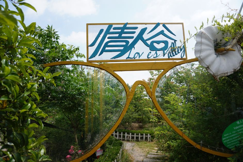 2020崇明花卉博览会,崇明花博会郁金香