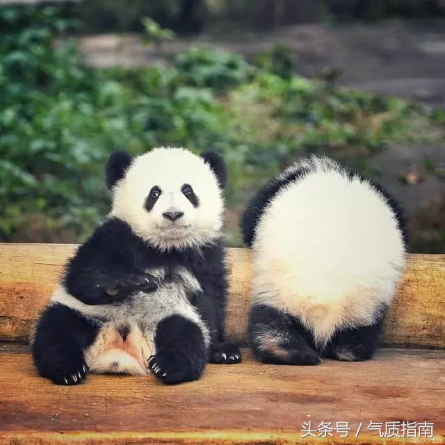 朋友圈里卖低价服装的真相,朋友圈代购真实案例