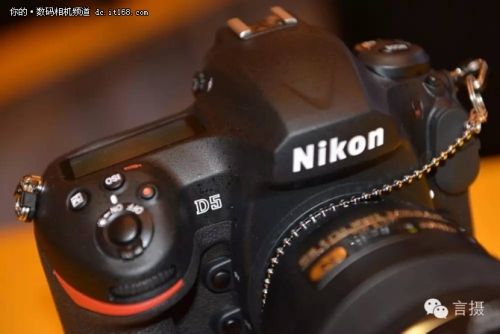 拍鸟尼康d5还是d500 (尼康d5与d500对焦系统的区别)
