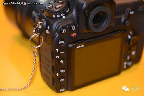 拍鸟尼康d5还是d500 (尼康d5与d500对焦系统的区别)