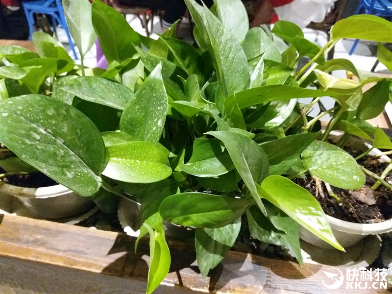 三星galaxyc5详细参数在哪看,三星galaxy799元