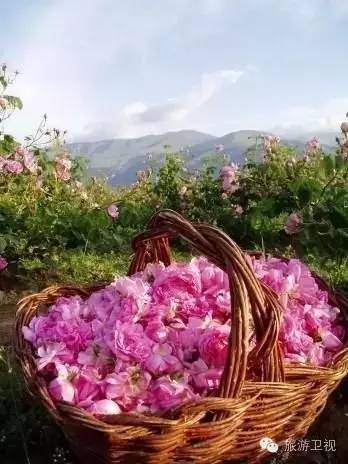 欧洲便宜又好玩签证容易的国家 (一张签证就能玩遍欧洲)